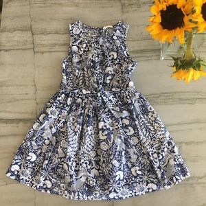 JCrew Girls: Navy & White Poplin Summer Dress